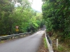 51-DSC_0296