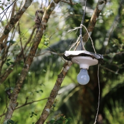 Costa Rican Chandelier