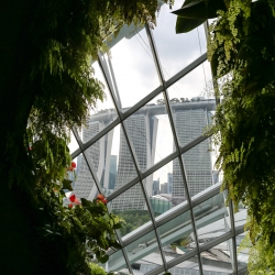 Marina Bay Sands through the glass of the cloudforest dome.