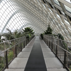 Cloud forest dome walkway.