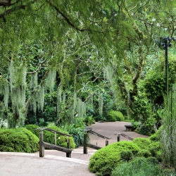 Botanical Gardens