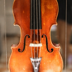 Stradivarius - Galleria dell'Accademia