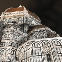 The cathedral of Santa Maria del Fiore.