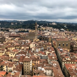 Florence from the top of the belltower.