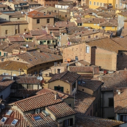 Siena rooftops