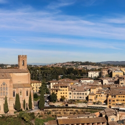 Siena