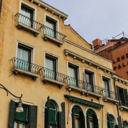 No trees in venice, only plants cascading from boxes.