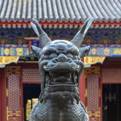 Summer palace dragon