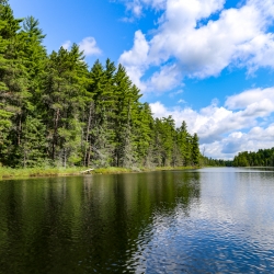 005-bwca2019-c.anderson.IMG_0861