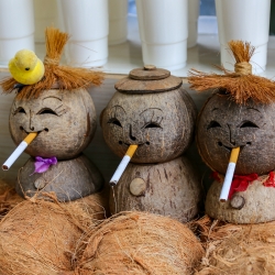 Even the coconuts smoke.