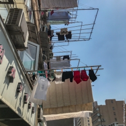 Shanghai laundry day.