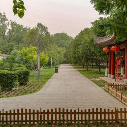 Small Wild Goose Pagoda Gardens. Once again, everything is perfect.