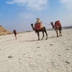 This camel scammer followed us around for a good hour hoping we would finally give in to his offer for a ride. The camels at the pyramids are a very well known scam. They promise you one price, get you up 10 feet in the air on the camel, ask if you want a picture. You hand them your phone or camera, then they demand more money to give it back and let you down. Just don't do it.