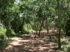 Jungle entrance to Ek Balam