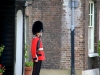 Tower Guards.