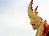 12-img_5144